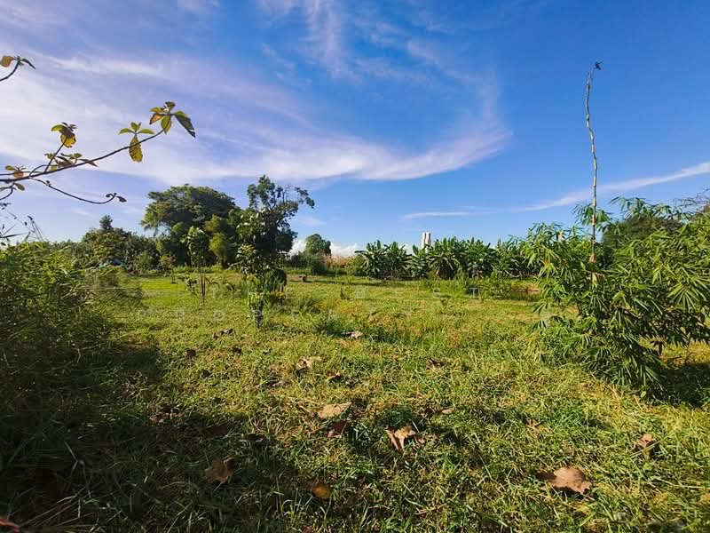 ที่ดินบางบ่อ สมุทรปราการ, Samut Prakan, Bang Bo, Samut Prakan, , 4,448 sqm, Land For Sale, by The Best Property ตู่, 500158349 - DDproperty.com
