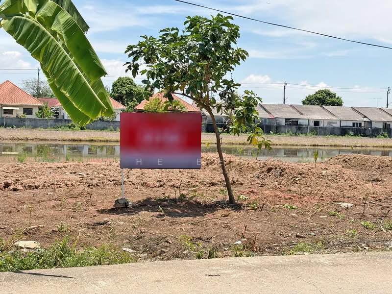 ที่ดินหนองจอก กรุงเทพมหานคร, กรุงเทพ, กระทุ่มราย, หนองจอก, กรุงเทพ, 400 ตร.ม., ที่ดิน ขาย, โดย The Best Property Agent เปรม, 500158391 - DDproperty.com