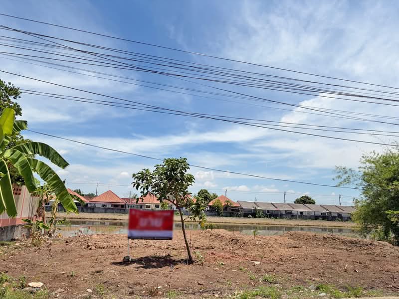 ที่ดินหนองจอก กรุงเทพมหานคร, กรุงเทพ, กระทุ่มราย, หนองจอก, กรุงเทพ, 400 ตร.ม., ที่ดิน ขาย, โดย The Best Property Agent เปรม, 500158391 - DDproperty.com
