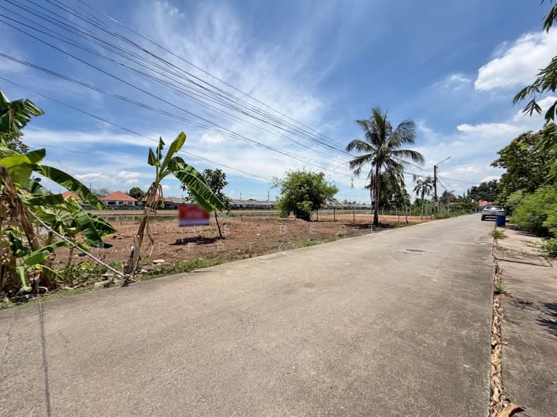 ที่ดินหนองจอก กรุงเทพมหานคร, กรุงเทพ, กระทุ่มราย, หนองจอก, กรุงเทพ, 400 ตร.ม., ที่ดิน ขาย, โดย The Best Property Agent เปรม, 500158391 - DDproperty.com