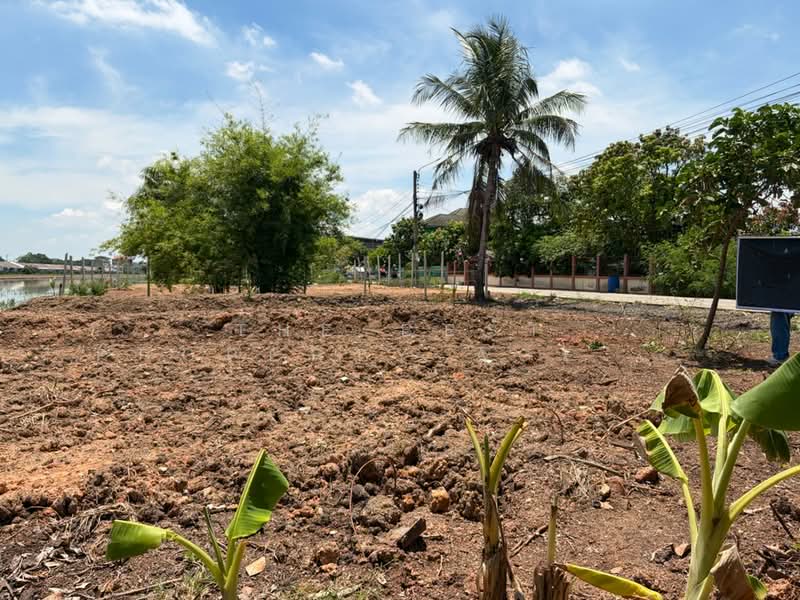 ที่ดินหนองจอก กรุงเทพมหานคร, กรุงเทพ, กระทุ่มราย, หนองจอก, กรุงเทพ, 400 ตร.ม., ที่ดิน ขาย, โดย The Best Property Agent เปรม, 500158391 - DDproperty.com
