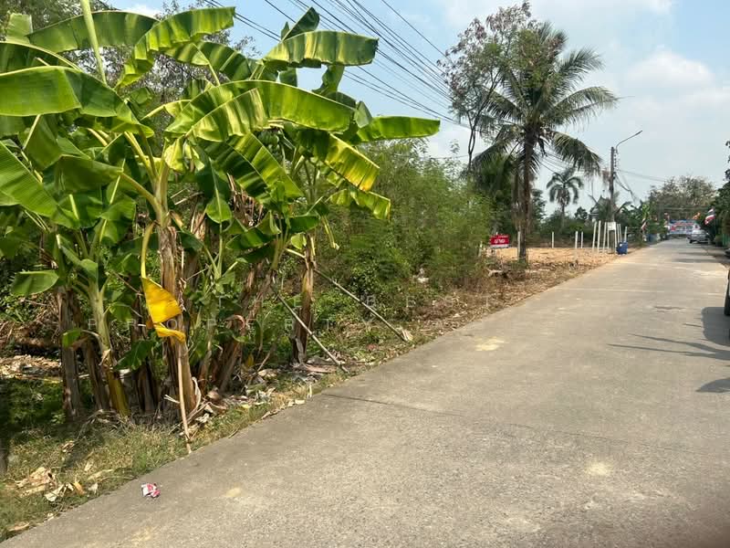 ที่ดินหนองจอก กรุงเทพมหานคร, กรุงเทพ, กระทุ่มราย, หนองจอก, กรุงเทพ, 400 ตร.ม., ที่ดิน ขาย, โดย The Best Property Agent เปรม, 500158391 - DDproperty.com