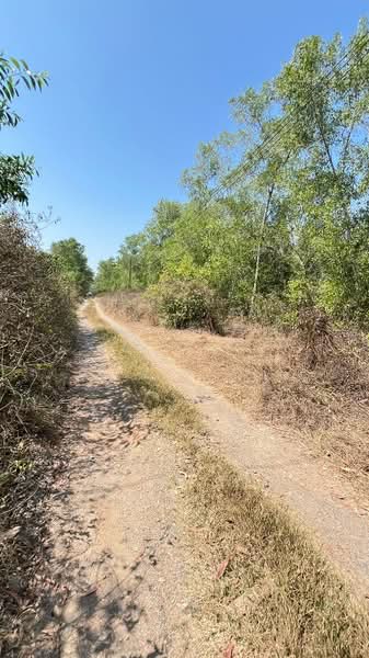 ที่ดินหนองเสือ ปทุมธานี, Pathum Thani, Bung Cham O, Nong Sua, Pathum Thani, , 3,200 sqm, Land For Sale, by The Best Property Agent พิมพ์, 500158451 - DDproperty.com