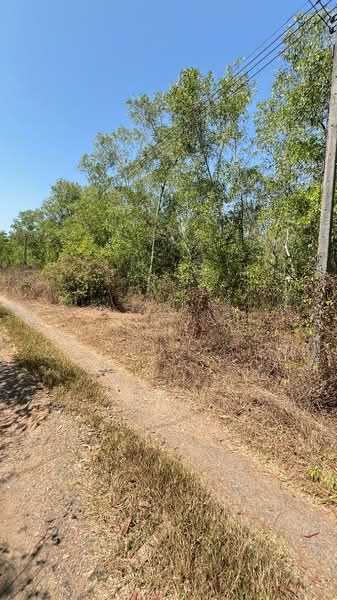 ที่ดินหนองเสือ ปทุมธานี, Pathum Thani, Bung Cham O, Nong Sua, Pathum Thani, , 3,200 sqm, Land For Sale, by The Best Property Agent พิมพ์, 500158451 - DDproperty.com