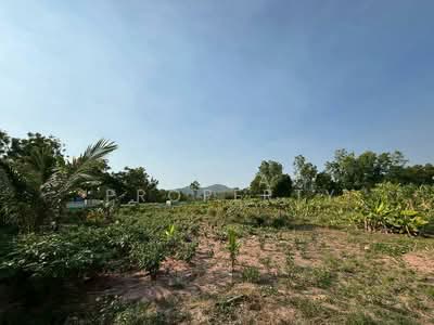 ขาย - ที่ดิน ศรีราชา นาพร้าว ซอยลุงเทิ้ม, ชลบุรี