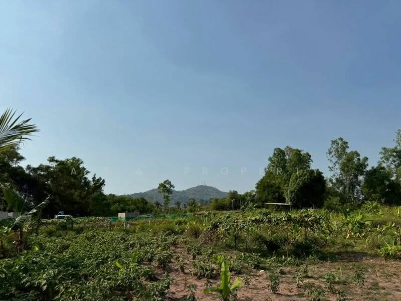 For Sale - ที่ดิน ศรีราชา นาพร้าว ซอยลุงเทิ้ม, Chon Buri (Pattaya)