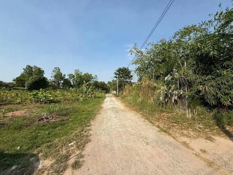 For Sale - ที่ดิน ศรีราชา นาพร้าว ซอยลุงเทิ้ม, Chon Buri (Pattaya)