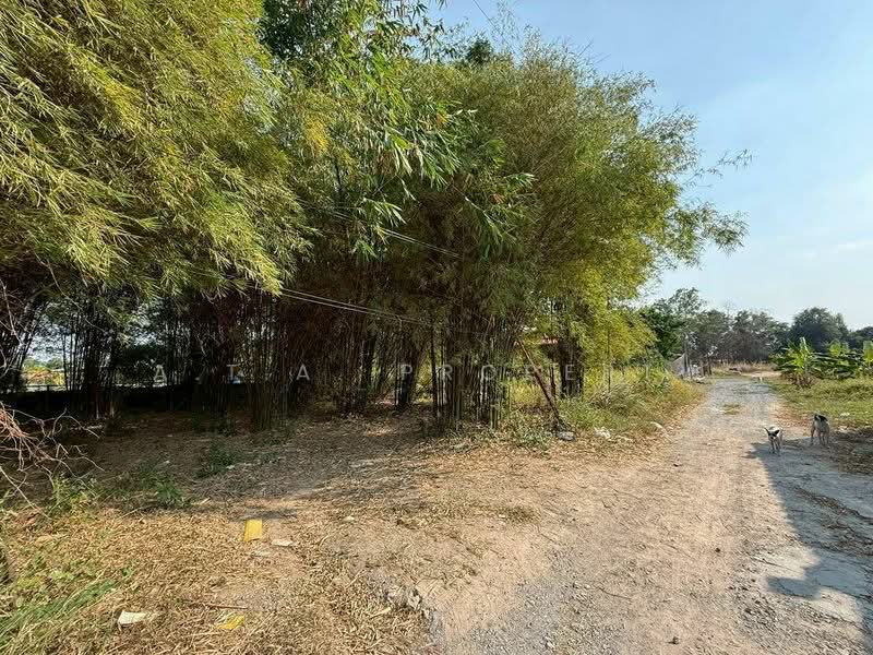 For Sale - ที่ดิน ศรีราชา นาพร้าว ซอยลุงเทิ้ม, Chon Buri (Pattaya)