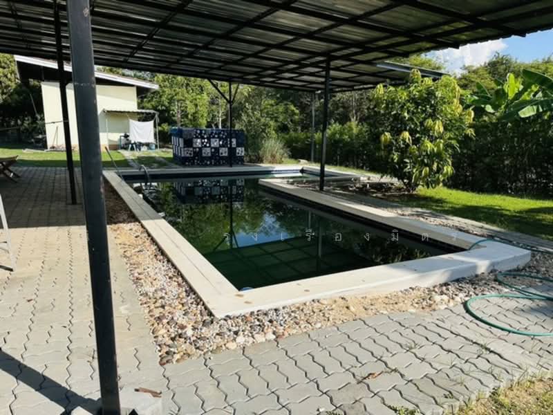 ็House in Phitsanulok, Phitsanulok, บึงราชนก, Wang Thong, Wang Thong, Phitsanulok, 3 Bedrooms, 280 sqm, Single Detached House For Sale, by ณิชชา รุ่งเรืองมิตร, 500158644 - DDproperty.com
