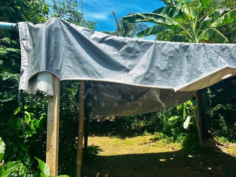 านเดี่ยวเมือง ชัยนาท, ชัยนาท, ชัยนาท, เมืองชัยนาท, ชัยนาท, 120 ตร.ม., บ้านเดี่ยว ขาย, โดย The Best Property แอ้, 500158680 - DDproperty.com