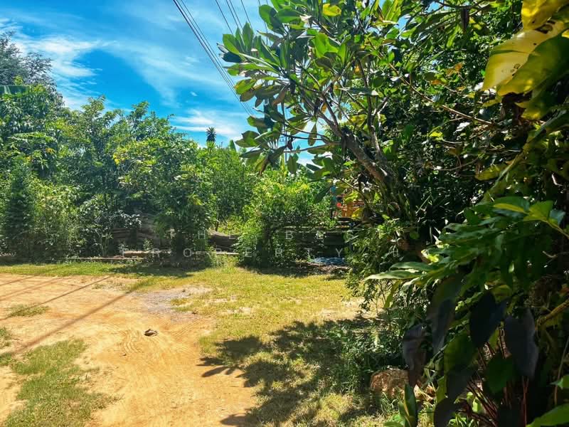 านเดี่ยวเมือง ชัยนาท, Chai Nat, Chainat, Muang Chai Nat, Chai Nat, 1 Bedroom, 120 sqm, Single Detached House For Sale, by The Best Property แอ้, 500158680 - DDproperty.com