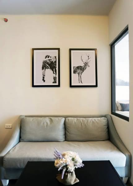 IDEO Sukhumvit 93, Bangkok, 2331 Soi Sukhumvit 93, Bang Chak, Phra Khanong, Bangkok, 1 Bedroom, 34 sqm, Condo For Rent, by Savita Pothong, 500158709 - DDproperty.com