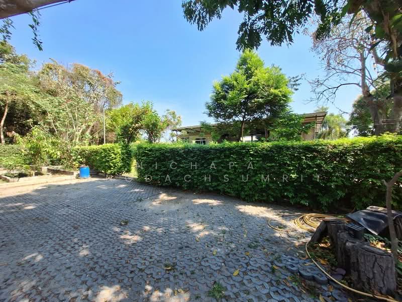 หัวหิน, ประจวบคีรีขันธ์, หัวหิน, หัวหิน, ประจวบคีรีขันธ์, 800 ตร.ม., บ้านเดี่ยว ขาย, โดย Nichapa Tangdachsumrit, 500158782 - DDproperty.com