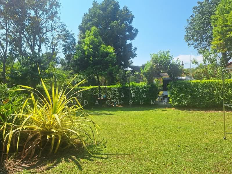 หัวหิน, ประจวบคีรีขันธ์, หัวหิน, หัวหิน, ประจวบคีรีขันธ์, 800 ตร.ม., บ้านเดี่ยว ขาย, โดย Nichapa Tangdachsumrit, 500158782 - DDproperty.com