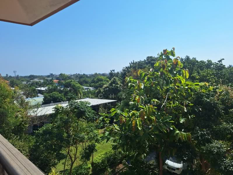 บ้านเดี่่ยวหัวหิน, ประจวบคีรีขันธ์, หัวหิน, หัวหิน, ประจวบคีรีขันธ์, 280 ตร.ม., บ้านเดี่ยว ขาย, โดย Nichapa Tangdachsumrit, 500158787 - DDproperty.com