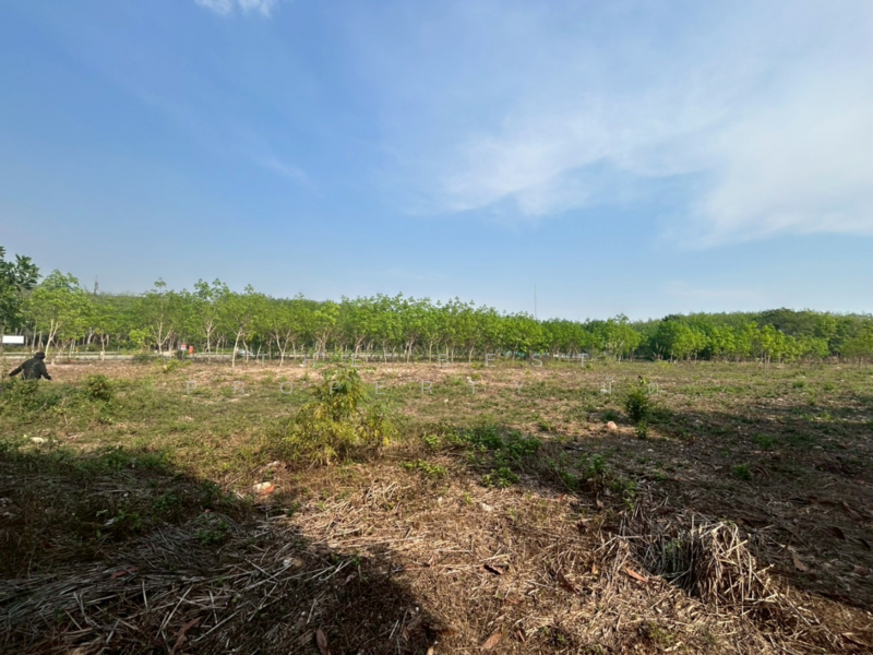 ที่ดินแกลง ระยอง, Rayong, Krasae Bon, Klaeng, Rayong, , 25,500 sqm, Land For Sale, by The Best Property มัต, 500158934 - DDproperty.com