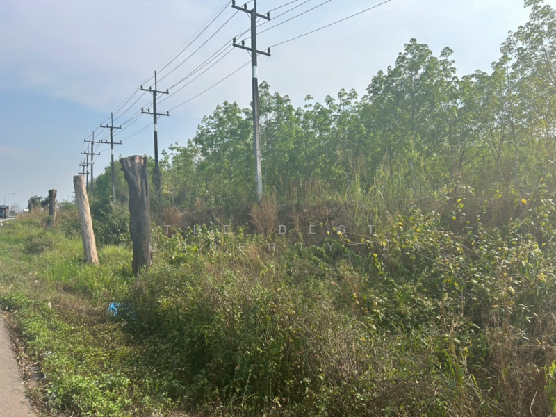 ที่ดินแกลง ระยอง, Rayong, Krasae Bon, Klaeng, Rayong, , 25,500 sqm, Land For Sale, by The Best Property มัต, 500158934 - DDproperty.com