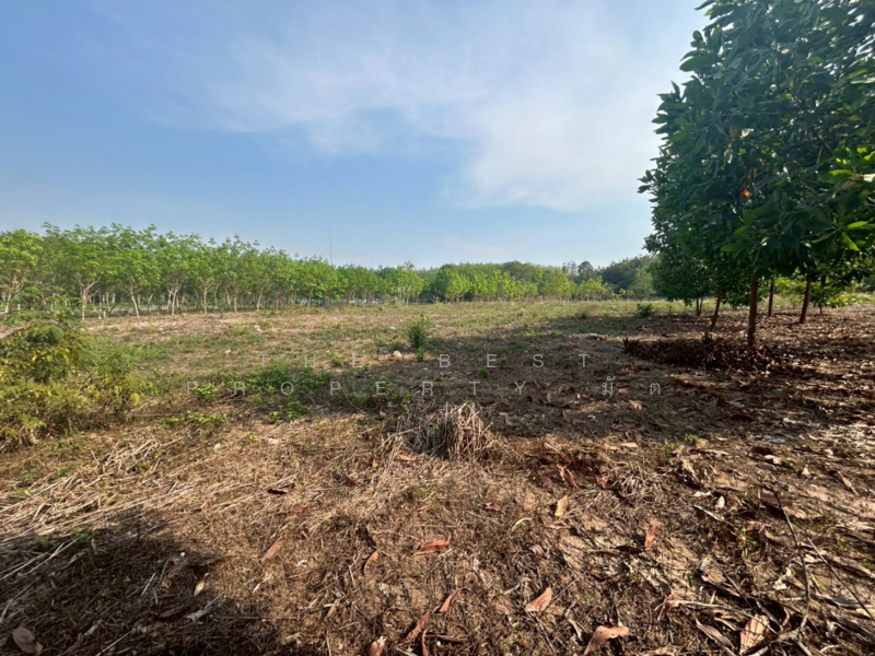ที่ดินแกลง ระยอง, Rayong, Krasae Bon, Klaeng, Rayong, , 25,500 sqm, Land For Sale, by The Best Property มัต, 500158934 - DDproperty.com