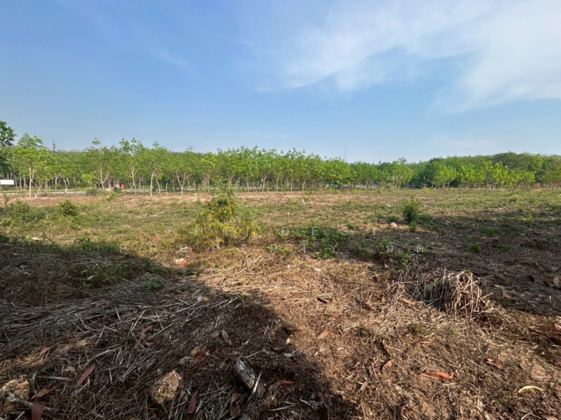 ที่ดินแกลง ระยอง, ระยอง, กระแสบน, แกลง, ระยอง, 25,500 ตร.ม., ที่ดิน ขาย, โดย The Best Property มัต, 500158934 - DDproperty.com