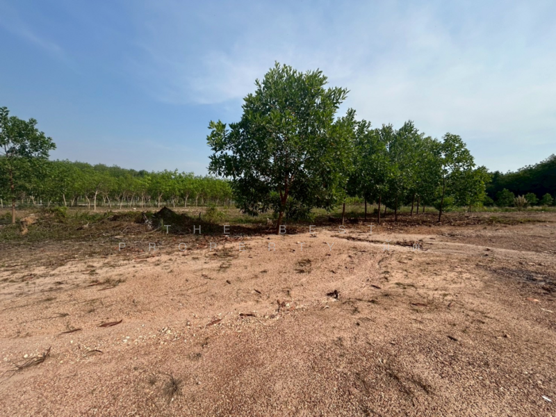 ที่ดินแกลง ระยอง, ระยอง, กระแสบน, แกลง, ระยอง, 25,500 ตร.ม., ที่ดิน ขาย, โดย The Best Property มัต, 500158934 - DDproperty.com