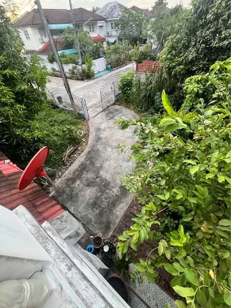 3-BR House, Bangkok, Sam Wa Tawan Ok, Khlong Sam Wa, Bangkok, 3 Bedrooms, 204 sqm, Single Detached House For Sale, by Gun Henglite , 500158964 - DDproperty.com