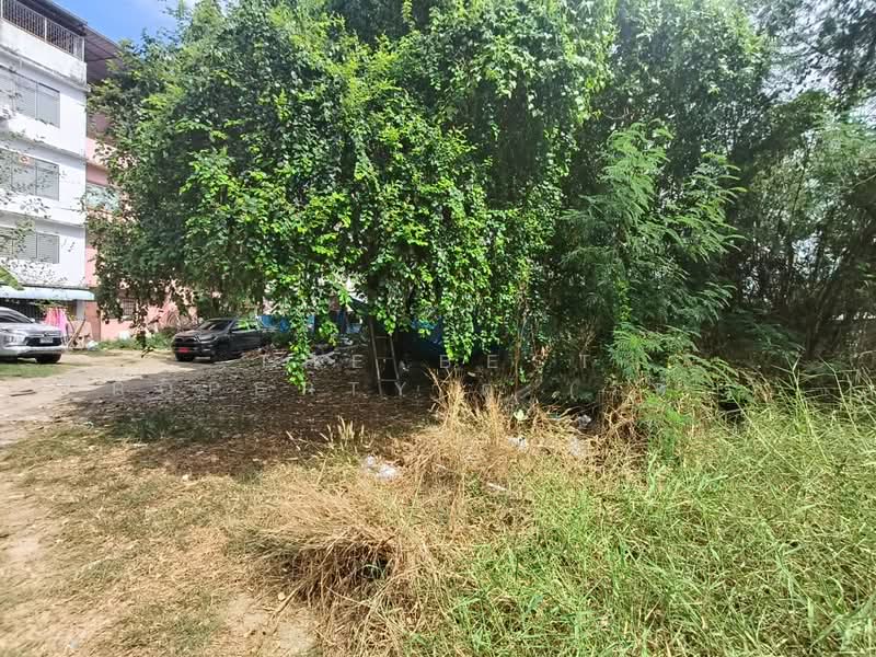 ที่ดินสำโรงเหนือ สมุทรปราการ, Samut Prakan, Samrong Nua, Muang Samut Prakarn, Samut Prakan, , 1,620 sqm, Land For Sale, by The Best Property ตู่ (รหัสตัวแทน 6225) Line ID :, 500158982 - DDproperty.com