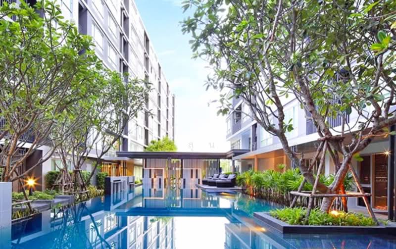 Dcondo Nernpra Rayong, Rayong, Sukhumvit, Noen Phra, Muang Rayong, Rayong, 1 Bedroom, 32 sqm, Condo For Rent, by ณัฐพงศ์ สุนทรอรุณ, 500159063 - DDproperty.com