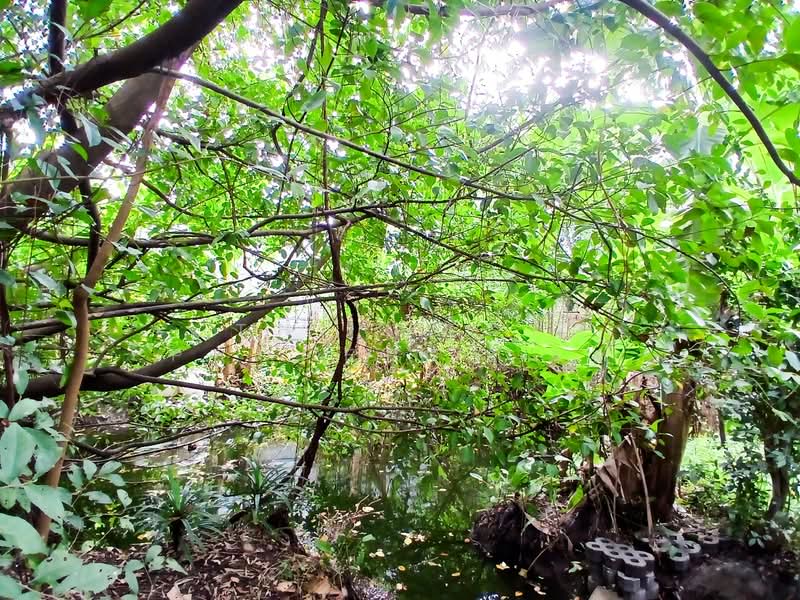 ที่ดินตลิ่งชัน กรุงเทพมหานคร, Bangkok, Taling Chan, Taling Chan, Bangkok, , 2,980 sqm, Land For Sale, by The Best Property แอ๊, 500159099 - DDproperty.com