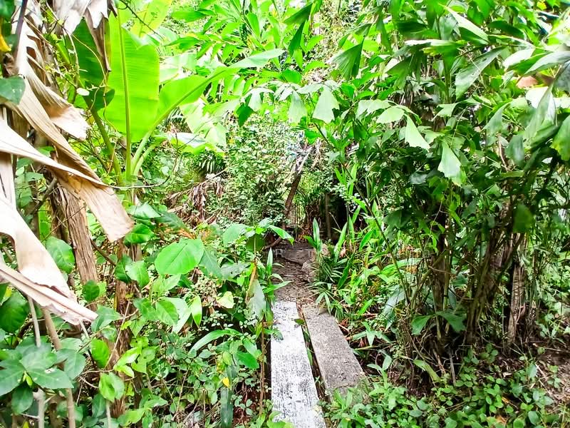 ที่ดินตลิ่งชัน กรุงเทพมหานคร, กรุงเทพ, ตลิ่งชัน, ตลิ่งชัน, กรุงเทพ, 2,980 ตร.ม., ที่ดิน ขาย, โดย The Best Property แอ๊, 500159099 - DDproperty.com