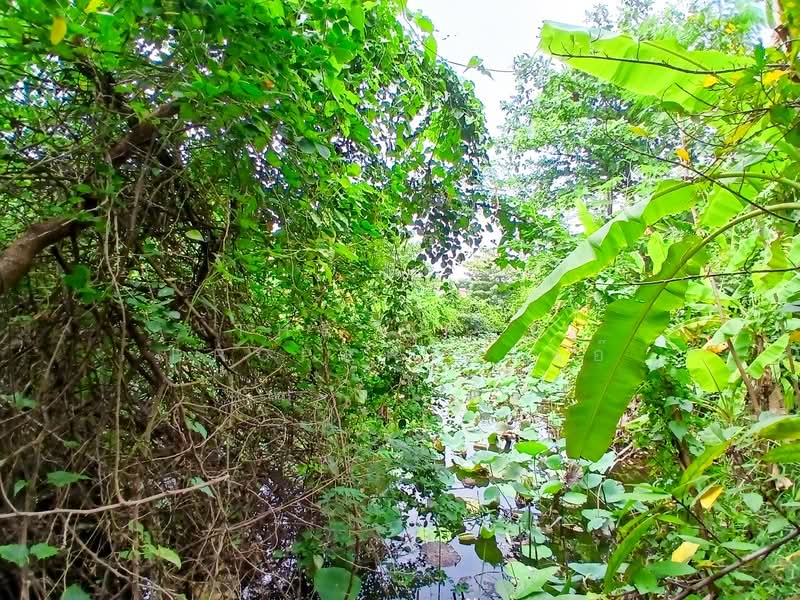 ที่ดินตลิ่งชัน กรุงเทพมหานคร, Bangkok, Taling Chan, Taling Chan, Bangkok, , 2,980 sqm, Land For Sale, by The Best Property แอ๊, 500159099 - DDproperty.com