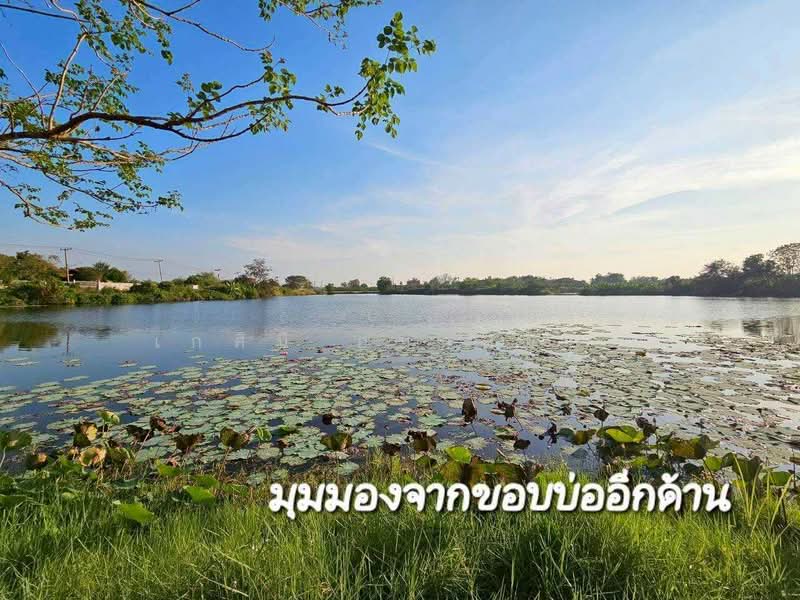 ขายที่ดินแปลงใหญ่พร้อมบ่อน้ำ 53 ไร่ ติดถนน (ใกล้ถนน 3064) ต.โคกพุทรา อ.โพธิ์ทอง จ.อ่างทอง, อ่างทอง, โคกพุทรา, โพธิ์ทอง, อ่างทอง, 85,068 ตร.ม., ที่ดิน ขาย, โดย เกศินี อมาตยกุล, 500159107 - DDproperty.com