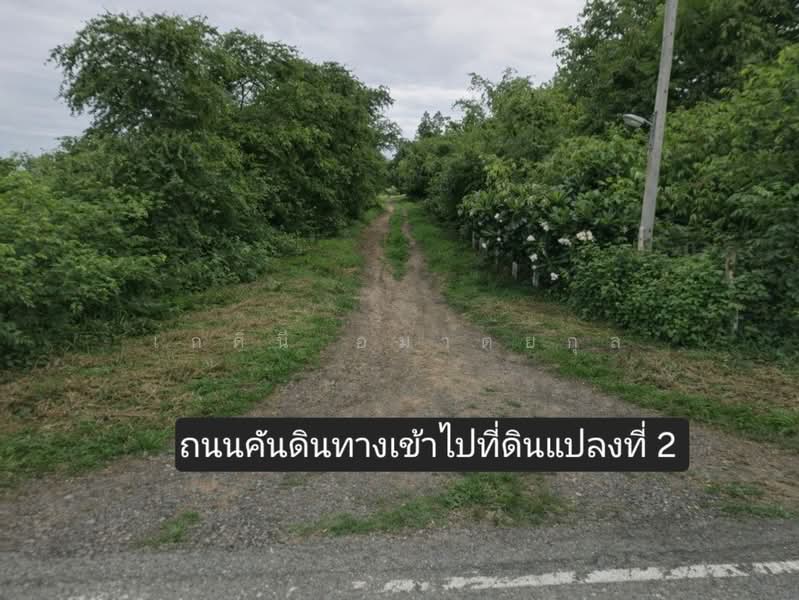 ขายที่ดินแปลงใหญ่พร้อมบ่อน้ำ 53 ไร่ ติดถนน (ใกล้ถนน 3064) ต.โคกพุทรา อ.โพธิ์ทอง จ.อ่างทอง, อ่างทอง, โคกพุทรา, โพธิ์ทอง, อ่างทอง, 85,068 ตร.ม., ที่ดิน ขาย, โดย เกศินี อมาตยกุล, 500159107 - DDproperty.com