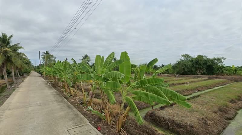 ขาย - ขายที่ดินแปลงใหญ่ สามพราน ใกล้ถนนเพชรเกษม, นครปฐม