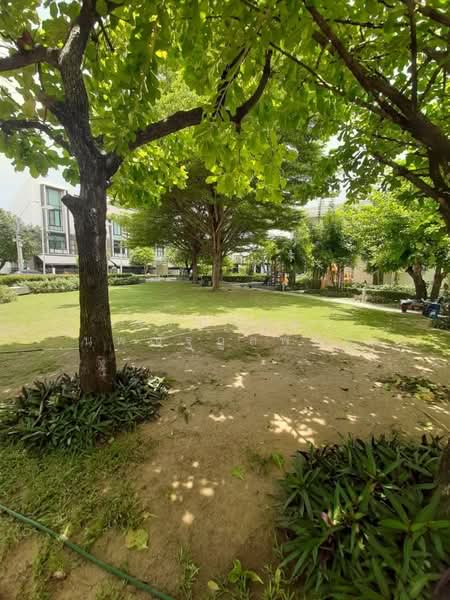 Flora Wongsawang : ฟลอรา วงศ์สว่าง, นนทบุรี, ถนนกรุงเทพฯ-นนทบุรี, บางเขน, เมืองนนทบุรี, นนทบุรี, 207 ตร.ม., ทาวน์เฮ้าส์ ขาย, โดย เตือนใจ นพณัฐกูลพัทธ์, 500159224 - DDproperty.com