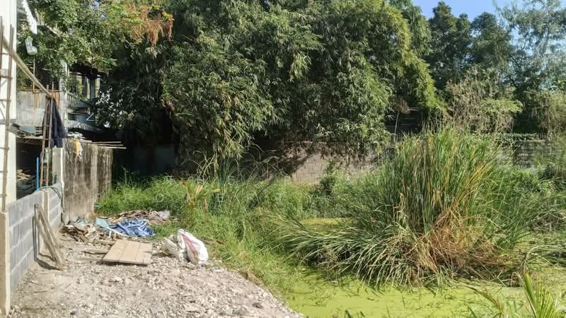 ที่ดินบางเขน กรุงเทพมหานคร, Bangkok, Anusaowari, Bang Khen, Bangkok, , 628 sqm, Land For Sale, by The Best Property  เคน, 500159257 - DDproperty.com