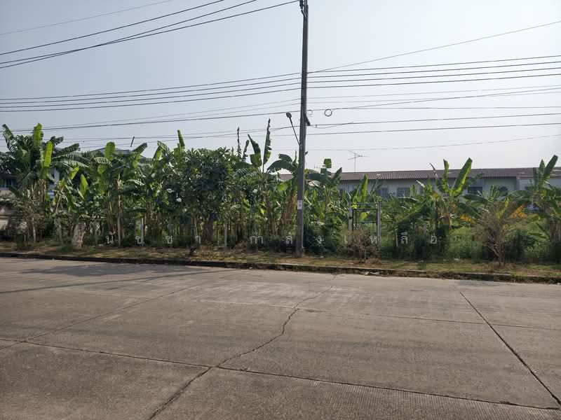 Wanarom Village, Bangkok, ฉลองกรุง, Thab Yao, Lat Krabang, Bangkok, , 916 sqm, Land For Sale, by นัชชา กำลังเหลือ, 500159304 - DDproperty.com