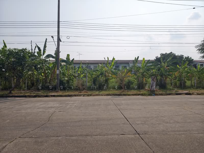 Land for sale, 229 square wah, Wanarom Village, Chalong Krung 24., Bangkok, ฉลองกรุง, Thab Yao, Lat Krabang, Bangkok, , 916 sqm, Land For Sale, by นัชชา กำลังเหลือ, 500159304 - DDproperty.com