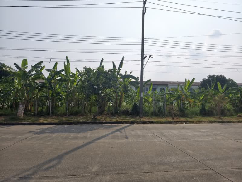Wanarom Village, Bangkok, ฉลองกรุง, Thab Yao, Lat Krabang, Bangkok, , 916 sqm, Land For Sale, by นัชชา กำลังเหลือ, 500159304 - DDproperty.com