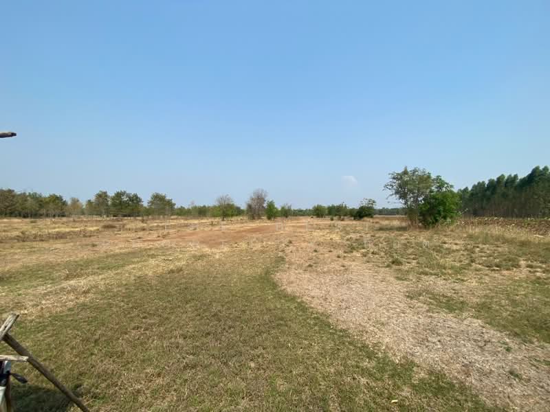 ที่ดินพระนอน นครสวรรค์, Nakhon Sawan, Phra Non, Muang Nakhon Sawan, Nakhon Sawan, , 50,172 sqm, Land For Sale, by The Best Property ก็อต, 500159317 - DDproperty.com