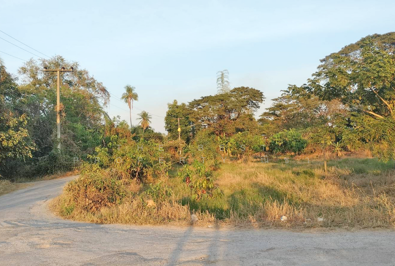 ที่ดินดอนทอง พิษณุโลก, พิษณุโลก, ดอนทอง, เมืองพิษณุโลก, พิษณุโลก, 4,484 ตร.ม., ที่ดิน ขาย, โดย The Best Property ณิชา, 500159353 - DDproperty.com