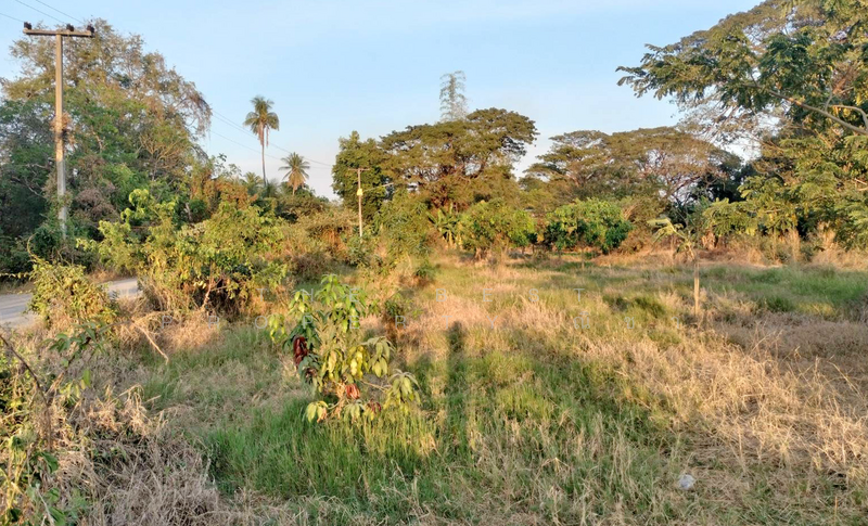 ที่ดินดอนทอง พิษณุโลก, พิษณุโลก, ดอนทอง, เมืองพิษณุโลก, พิษณุโลก, 4,484 ตร.ม., ที่ดิน ขาย, โดย The Best Property ณิชา, 500159353 - DDproperty.com