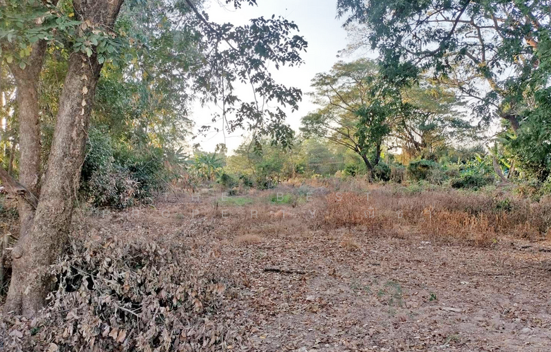 ที่ดินดอนทอง พิษณุโลก, พิษณุโลก, ดอนทอง, เมืองพิษณุโลก, พิษณุโลก, 4,484 ตร.ม., ที่ดิน ขาย, โดย The Best Property ณิชา, 500159353 - DDproperty.com