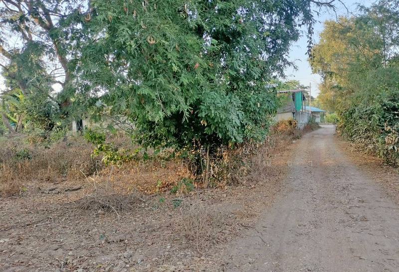 ที่ดินดอนทอง พิษณุโลก, พิษณุโลก, ดอนทอง, เมืองพิษณุโลก, พิษณุโลก, 4,484 ตร.ม., ที่ดิน ขาย, โดย The Best Property ณิชา, 500159353 - DDproperty.com