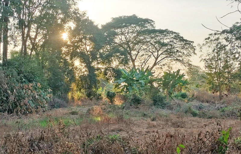 ที่ดินดอนทอง พิษณุโลก, Phitsanulok, Don Thong, Muang Phitsanulok, Phitsanulok, , 4,484 sqm, Land For Sale, by The Best Property ณิชา, 500159353 - DDproperty.com