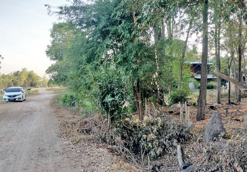 ที่ดินดอนทอง พิษณุโลก, พิษณุโลก, ดอนทอง, เมืองพิษณุโลก, พิษณุโลก, 4,484 ตร.ม., ที่ดิน ขาย, โดย The Best Property ณิชา, 500159353 - DDproperty.com