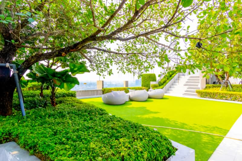 Life Sukhumvit 62, Bangkok, Soi Sukhumvit 62, Bang Chak, Phra Khanong, Bangkok, 1 Bedroom, 35 sqm, Condo For Rent, by Win Chan, 500159374 - DDproperty.com