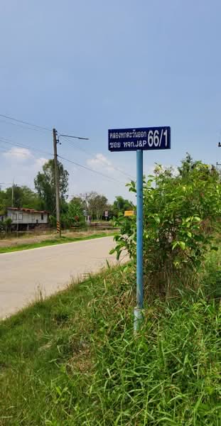 ขายที่ดิน 1 ไร่ รังสิต คลอง 6 ฝั่งตะวันออก ใกล้มทร.ธัญบุรี เข้าออกได้ 2 ทาง, ปทุมธานี, คลองหก, คลองหลวง, ปทุมธานี, 1,600 ตร.ม., ที่ดิน ขาย, โดย เตือนใจ นพณัฐกูลพัทธ์, 500159458 - DDproperty.com