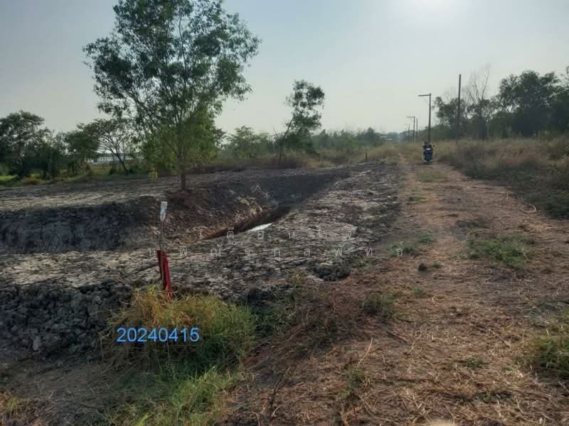 ขายที่ดิน 1 ไร่ รังสิต คลอง 6 ฝั่งตะวันออก ใกล้มทร.ธัญบุรี เข้าออกได้ 2 ทาง, Pathum Thani, Khlong Hok, Khlong Luang, Pathum Thani, , 1,600 sqm, Land For Sale, by เตือนใจ นพณัฐกูลพัทธ์, 500159458 - DDproperty.com