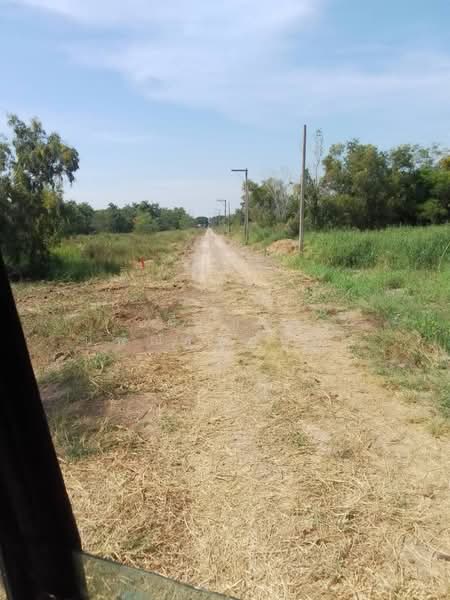 ขายที่ดิน 1 ไร่ รังสิต คลอง 6 ฝั่งตะวันออก ใกล้มทร.ธัญบุรี เข้าออกได้ 2 ทาง, ปทุมธานี, คลองหก, คลองหลวง, ปทุมธานี, 1,600 ตร.ม., ที่ดิน ขาย, โดย เตือนใจ นพณัฐกูลพัทธ์, 500159458 - DDproperty.com