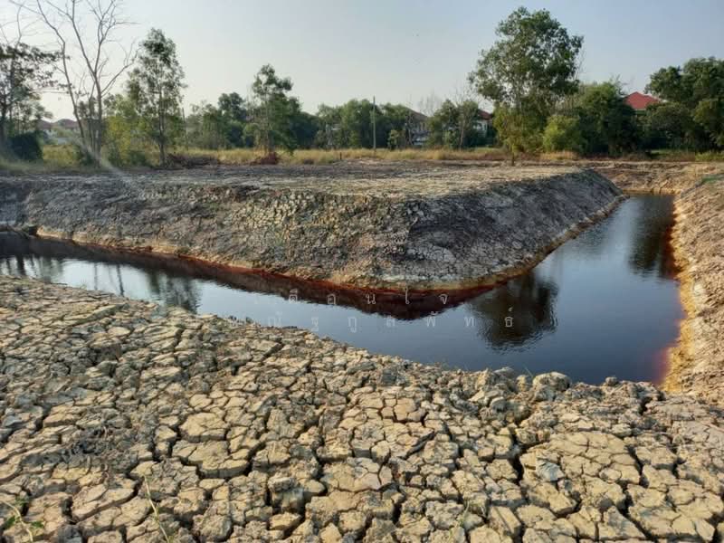 ขายที่ดิน 1 ไร่ รังสิต คลอง 6 ฝั่งตะวันออก ใกล้มทร.ธัญบุรี เข้าออกได้ 2 ทาง, Pathum Thani, Khlong Hok, Khlong Luang, Pathum Thani, , 1,600 sqm, Land For Sale, by เตือนใจ นพณัฐกูลพัทธ์, 500159458 - DDproperty.com